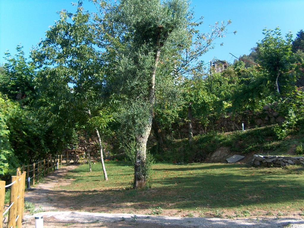 Casa Do Mercador Real Dış mekan fotoğraf